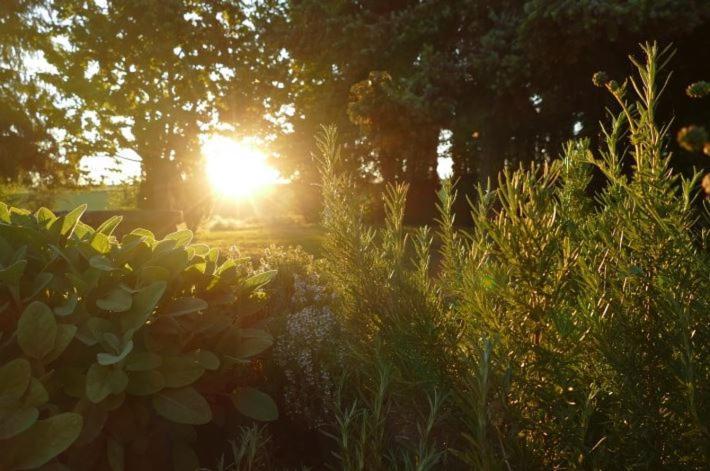 Zenner'S Landhotel Newel Bagian luar foto