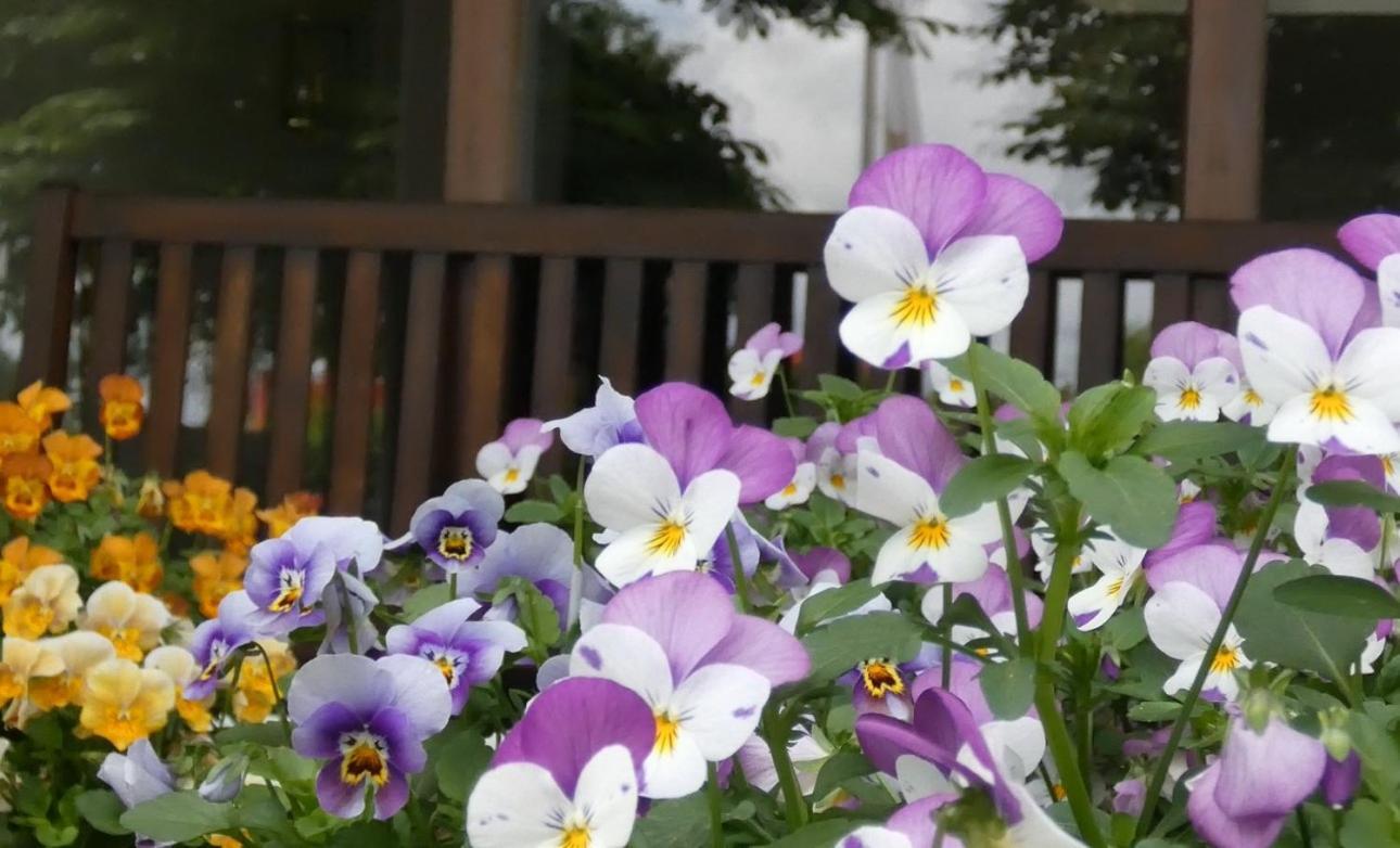 Zenner'S Landhotel Newel Bagian luar foto